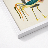 Framed Artwork Stylized Embroidered Bird Teal Yellow Feathers Taguchi Tomoki
