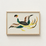 Framed Artwork Stylized Colorful Bird Intricate Patterns Teal Taguchi Tomoki, Woodblock Crane, Art Print