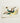 Stylized Illustration Pheasant Cream-colored Cardstock Intricate Patterns Teal Taguchi Tomoki, Woodblock Crane, Art Print