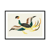 Woodblock Crane - Taguchi Tomoki Bird Art Print, Stylized Bird Teal Brown Yellow Plumage Decorative Art