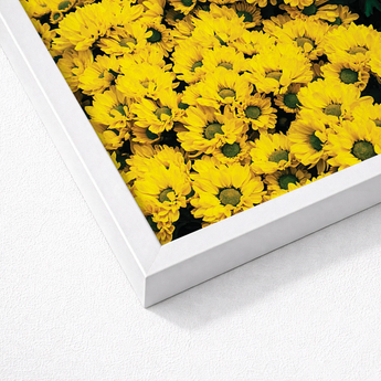 White-framed Artwork Vibrant Close-up Yellow Daisies Dark Green Chrysanthemum-filled Art Print, Chrysanthemum Photography, Brick Road