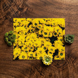 Yellow Brick Road - Vietnam Flower Bed Art Print / Canvas Vibrant Floral Photograph Densely Packed Chrysanthemums Dark