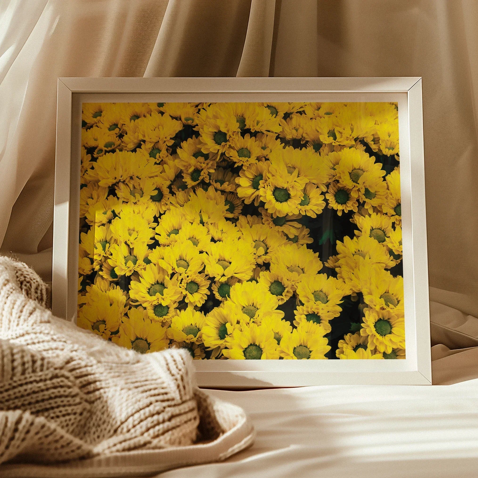 Yellow Brick Road - Vietnam Flower Bed Art Print, Framed Photograph Bright Yellow Sunflowers Bloom