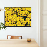 Yellow Brick Road - Vietnam Flower Bed Framed Canvas, Framed Photograph Bright Yellow Sunflowers Bloom