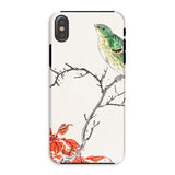 Yellow Bunting Bird - Numata Kashu Iphone Case, Xs / Matte, Phone Case Watercolor-style Illustration Green Bird Perched Branch