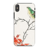 Yellow Bunting Bird - Numata Kashu Phone Case Iphone Xs / Matte Phone Case Watercolor-style Illustration Green Bird Perched Branch Numata